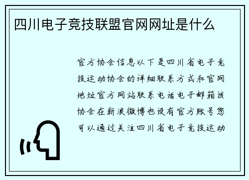 四川电子竞技联盟官网网址是什么